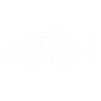 Black and white fish icon